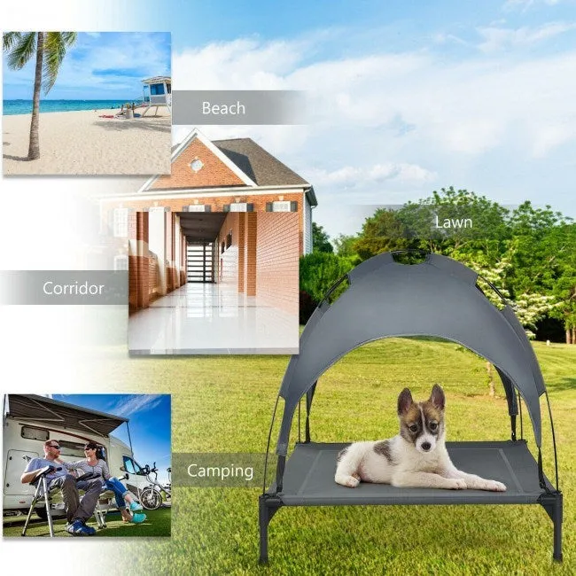 Elevated Outdoor Bed for Dogs with Removable Canopy