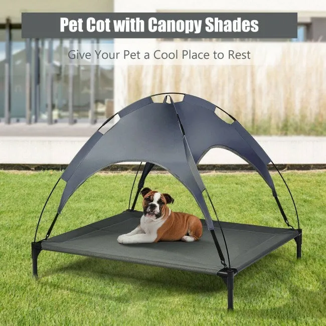 Elevated Outdoor Bed for Dogs with Removable Canopy